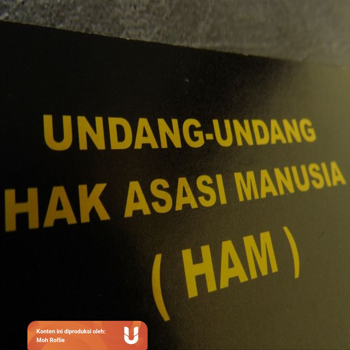 Sebagai Salah Satu Bentuk Perhatian Pada Pemerintah Indonesia Pada Penegakan Ham Adalah Studi Indonesia