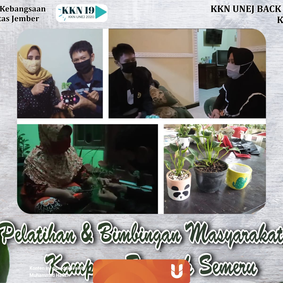 Kkn 19 Unej Pemberdayaan Masyarakat Potensi Budidaya Tanaman Di Masa Pandemi Kumparan Com