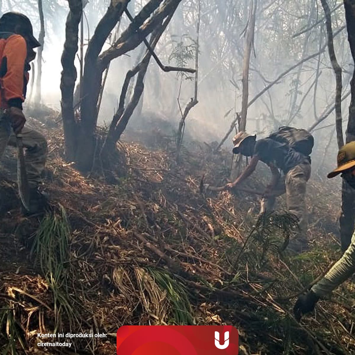 Hutan Desa Setianegara / Setianegara adalah desa di ...