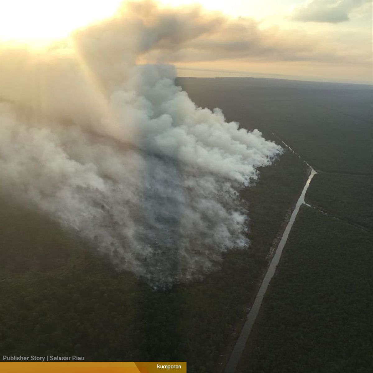 Pulau Rupat Membara 2 Ha Lahan Di Areal Hutan Produksi Terbatas Terbakar Kumparan Com