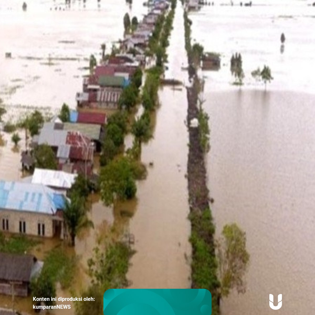 Greenpeace Soal Penyebab Banjir Kalsel Hutan Jadi Industri Sawit Batubara Kumparan Com