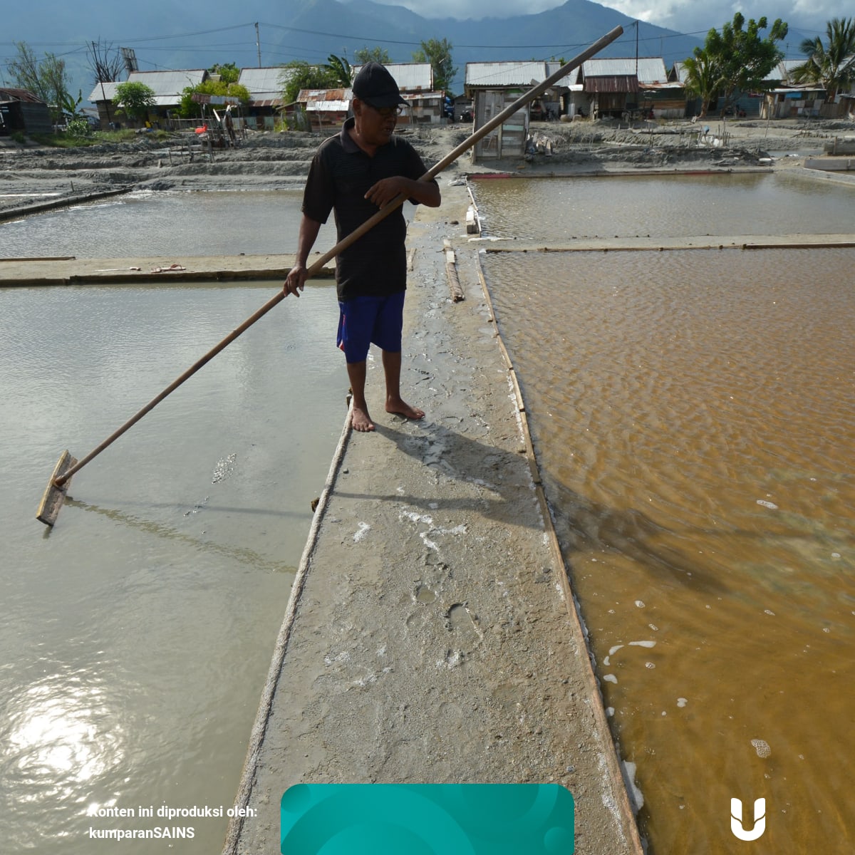 Punya Garis Pantai Terpanjang Kedua Dunia Tapi Indonesia Impor Garam Kumparan Com