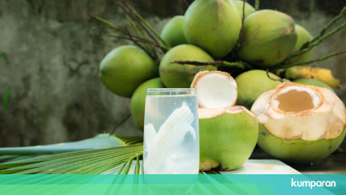 Minum Air Kelapa Di Pagi Hari Apa Manfaatnya Untuk Ibu Hamil Kumparan Com