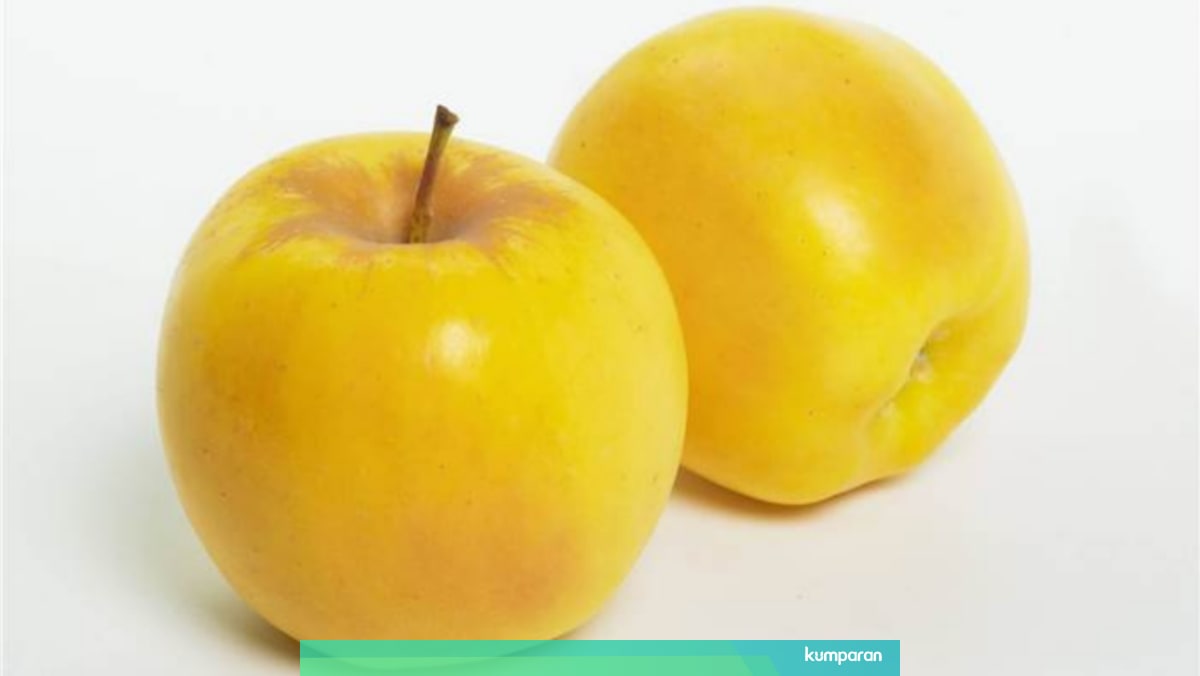 Cantiknya Opal Varietas Buah Apel Yang Berwarna Kuning Keemasan