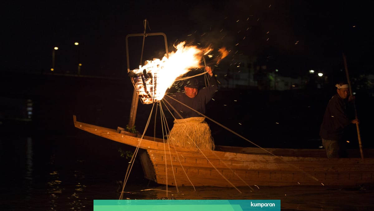 Mengenal Ukai Tradisi Unik Memancing Dengan Burung Kormoran Di Jepang Kumparan Com