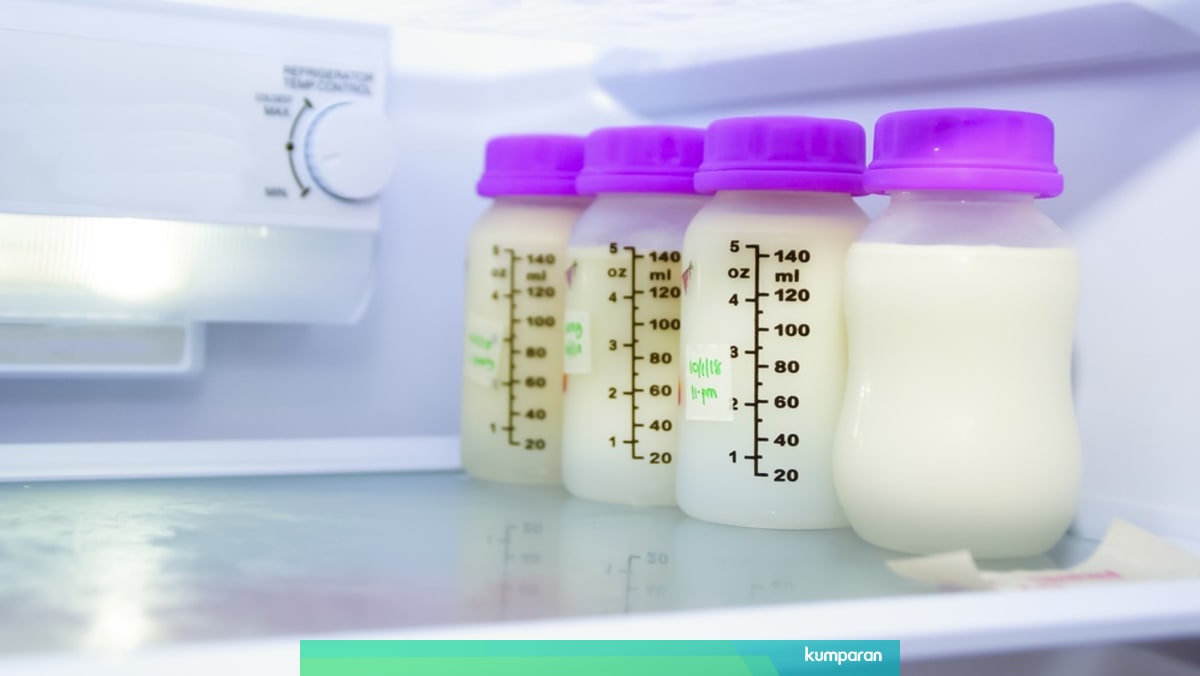 cara mencairkan asi beku dengan bottle warmer