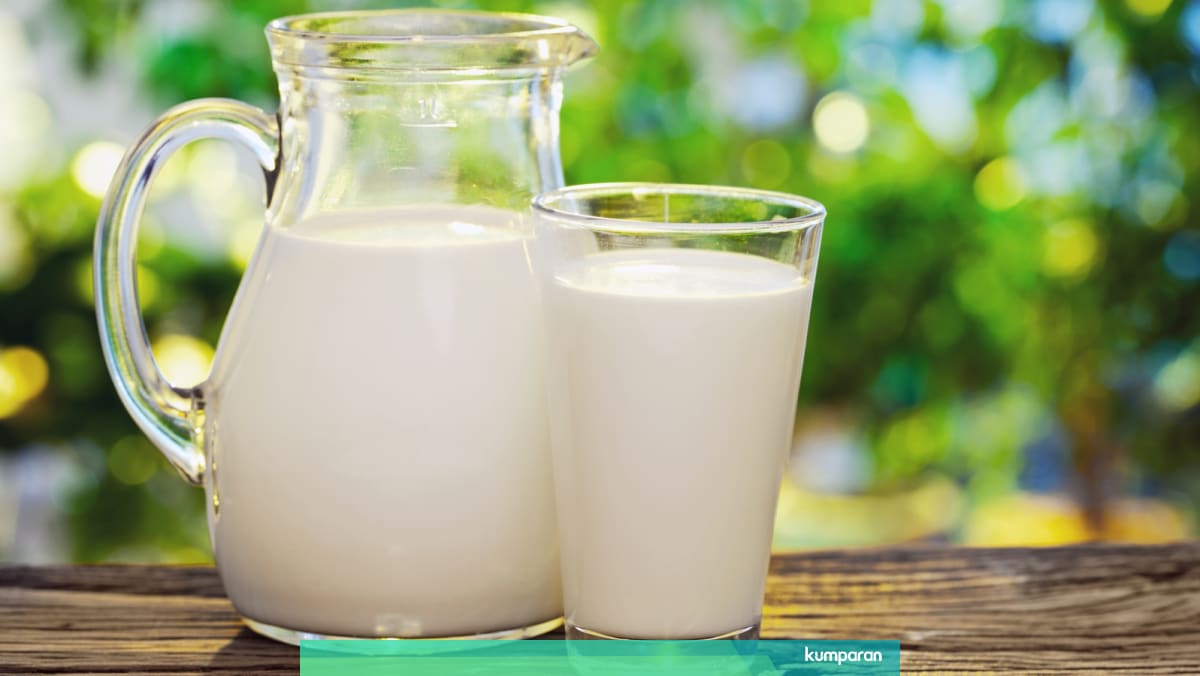 5 Tips Menyimpan Susu Agar Tidak Cepat Basi Kumparan Com