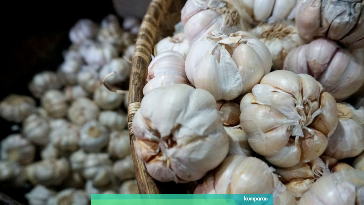 6 Manfaat Bawang Putih Bagi Kesehatan Dan Kecantikan Kulit Kumparan Com 6 Manfaat Bawang Putih Bagi Kesehatan Dan Kecantikan Kulit Kumparan Com