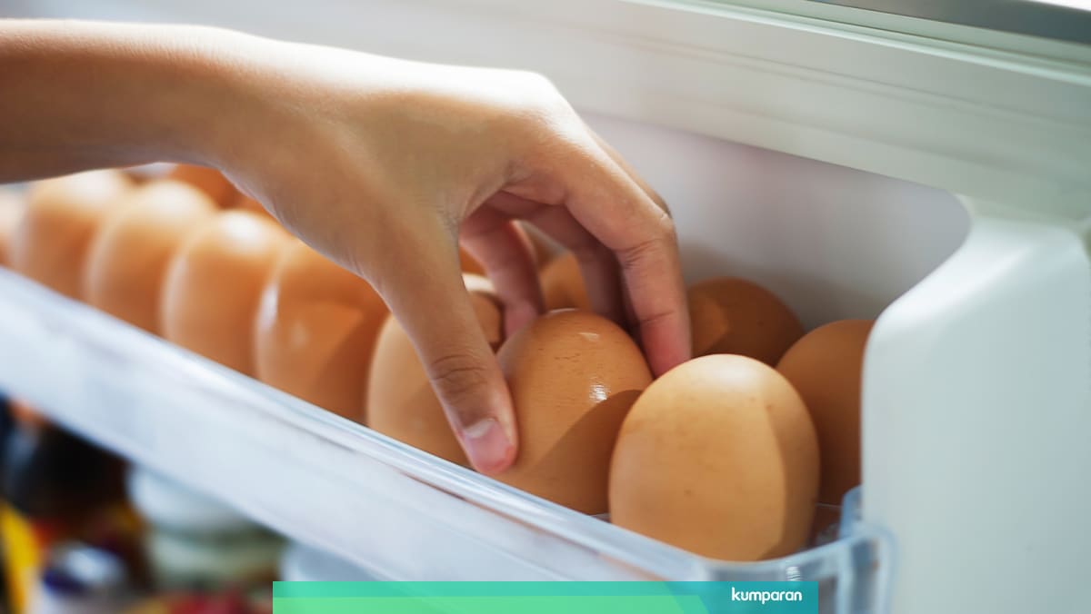5 Tips Menyimpan Stok Telur Supaya Lebih Tahan Lama Kumparan Com