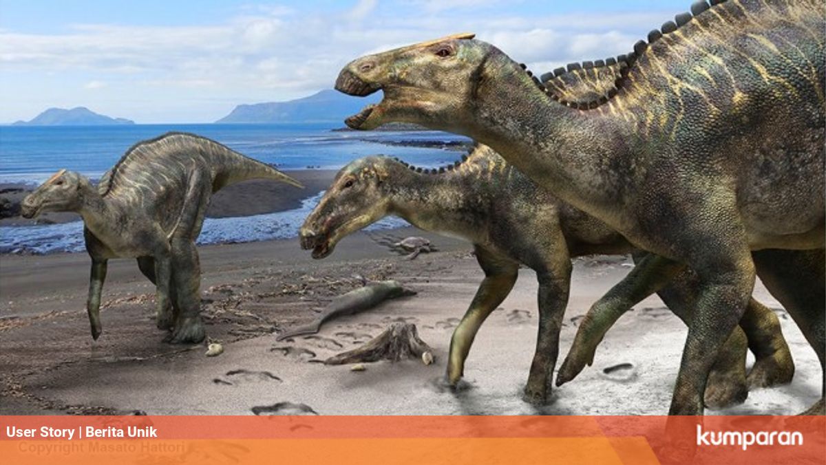 7 Hewan Ini Tetap Bertahan Hidup Saat Dinosaurus Punah Apa Saja Kumparan Com