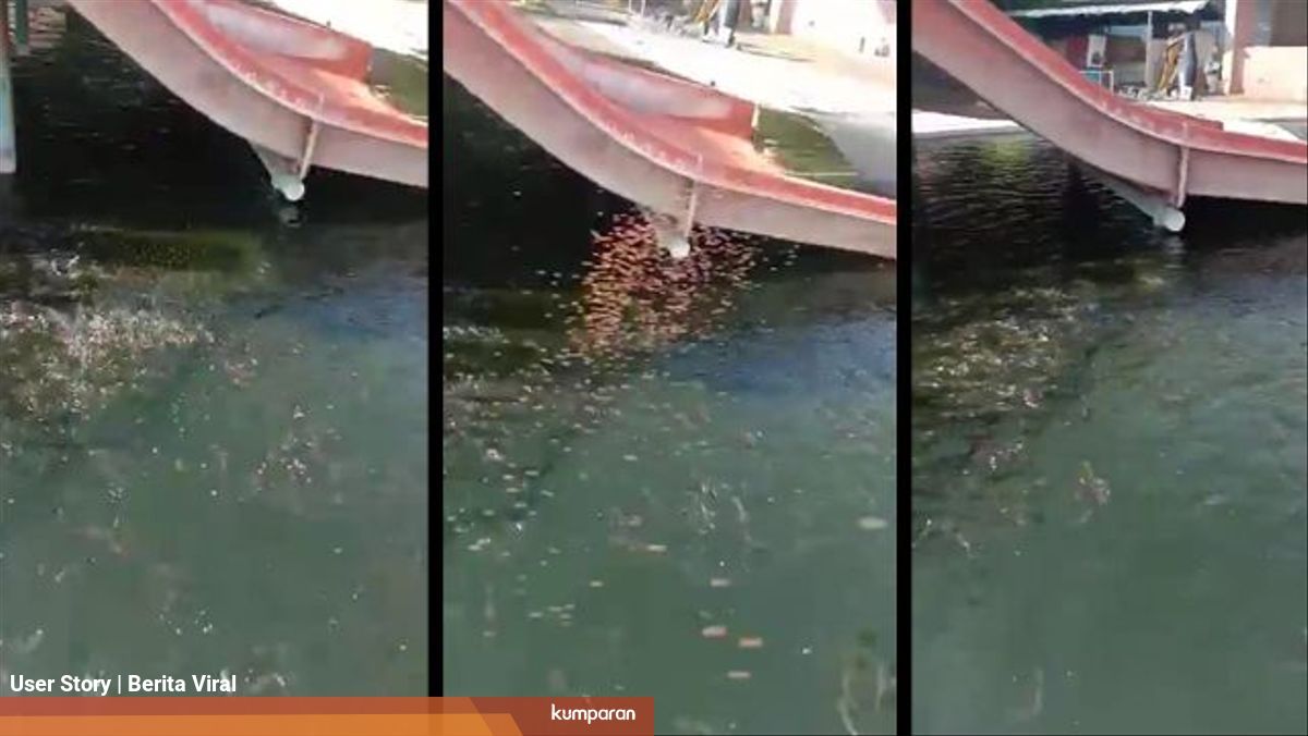 Usaha Kolam Renang Bangkrut Pemilik Alih Fungsikan Jadi Kolam