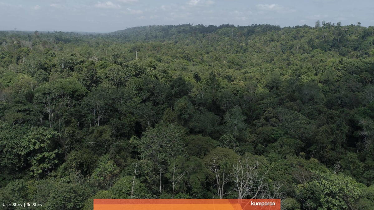 Misteri Di Bukit Soeharto Kumparan Com