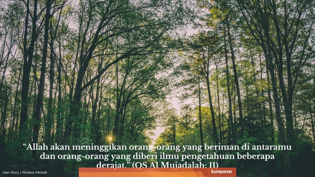 Allah Akan Meninggikan Derajat Orang Yang Berilmu Di Akhirat Dan Di Dunia Kumparan Com