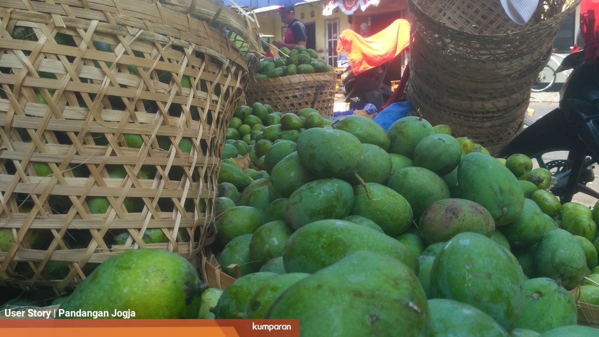 Jalan Panjang Mangga Harum Manis Sampai Ke Meja Makan Kita Kumparan Com