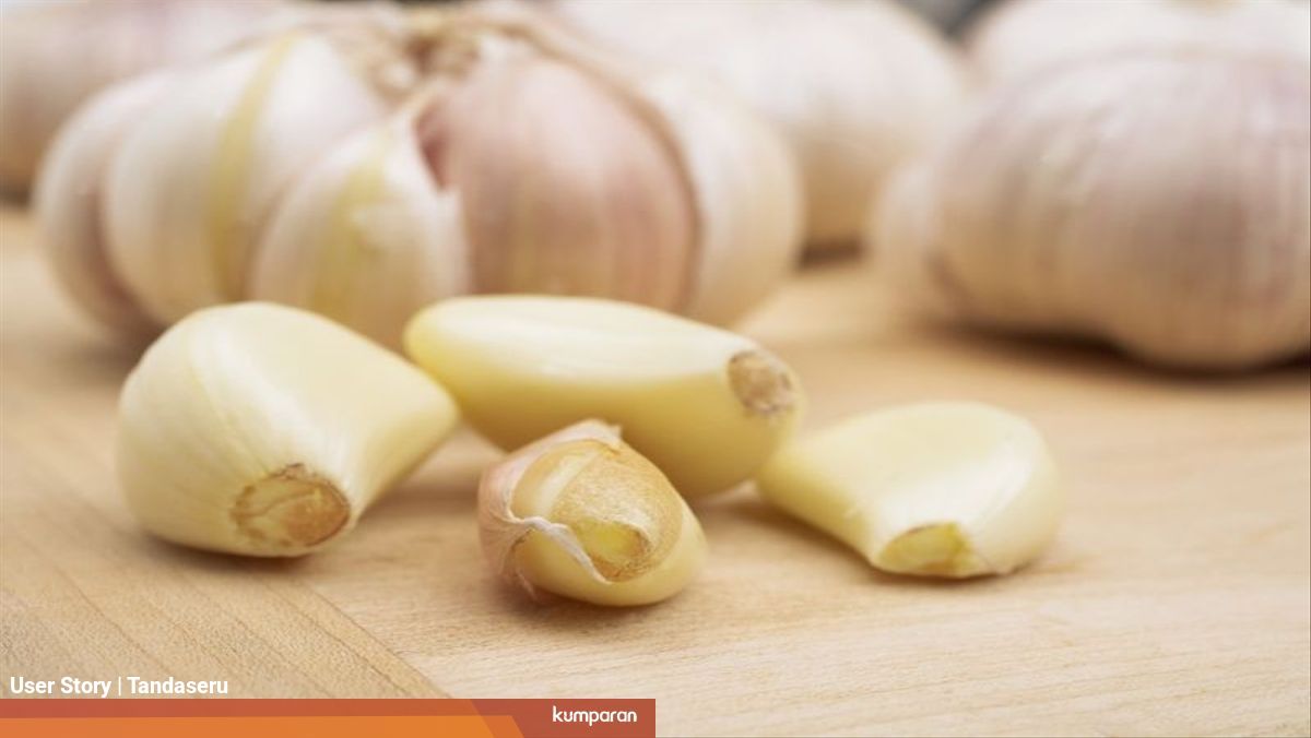 Khasiat Bawang Putih Untuk Kesehatan Tubuh Perlu Anda Coba Kumparan Com