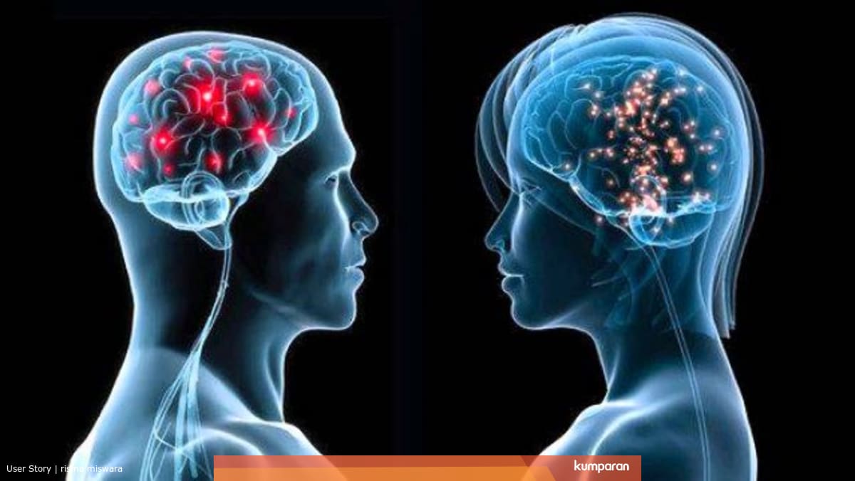 Perbedaan Otak Laki Laki Dan Perempuan Bagaimana Mereka Bekerja Kumparan Com