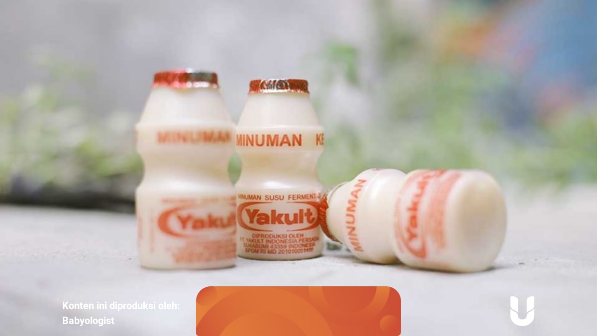 Boleh Tidak Ibu Hamil Minum Yakult - Dengan