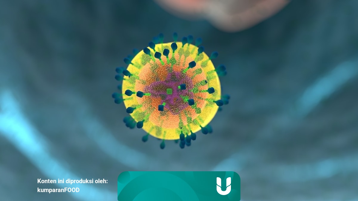 Transfer Factor 4life Transfer Factor Plus Suplemen Makanan Obat Herbal Multivitamin Original Vitamin Anak Vitamin Ibu Hamil Kesehatan Ekstak Lidah Buaya Jamur Shitake 90 Kapsul Murah Tf01 Lazada Indonesia