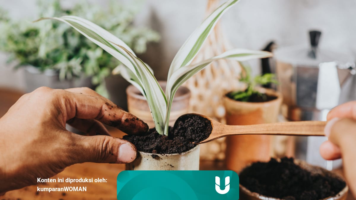 Jadi Pupuk Hingga Usir Hama Ini 4 Bahan Di Dapur Yang Baik Untuk Tanaman Kumparan Com