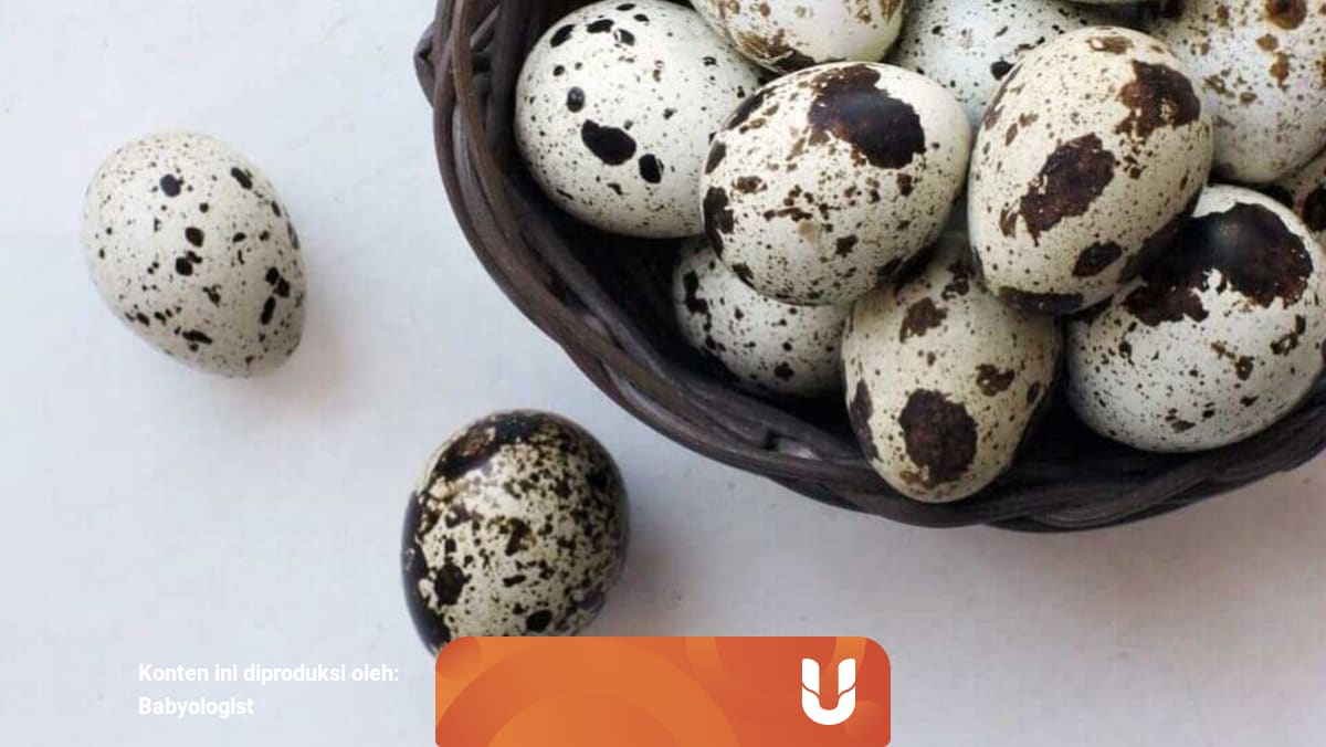 7 Manfaat Telur Puyuh Untuk Ibu Hamil Kumparan Com