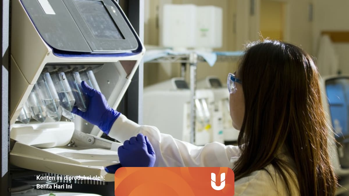Dampak Negatif Bioteknologi Dalam Kehidupan Sehari Hari Kumparan Com