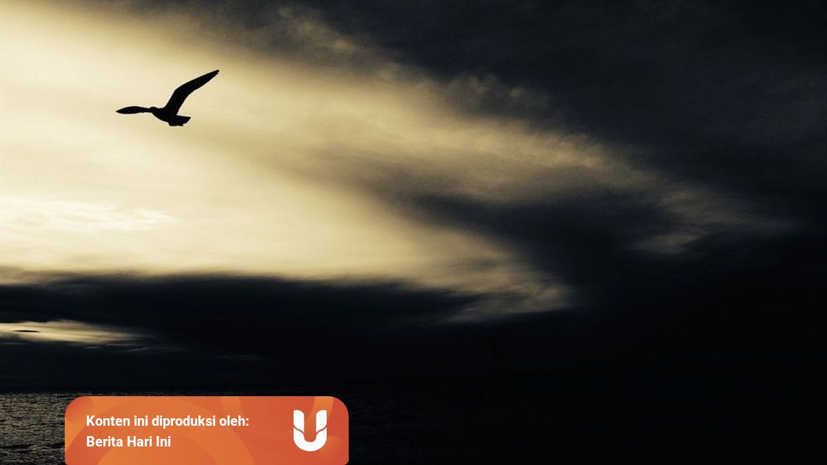 Burung Ababil Dan Kisah Pasukan Gajah Yang Gagal Menyerang Ka Bah Kumparan Com