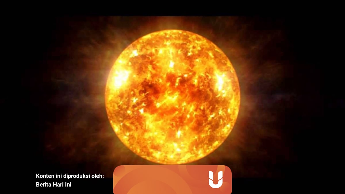 Manfaat Energi Matahari Bagi Alam Manusia Hewan Dan Tumbuhan Kumparan Com