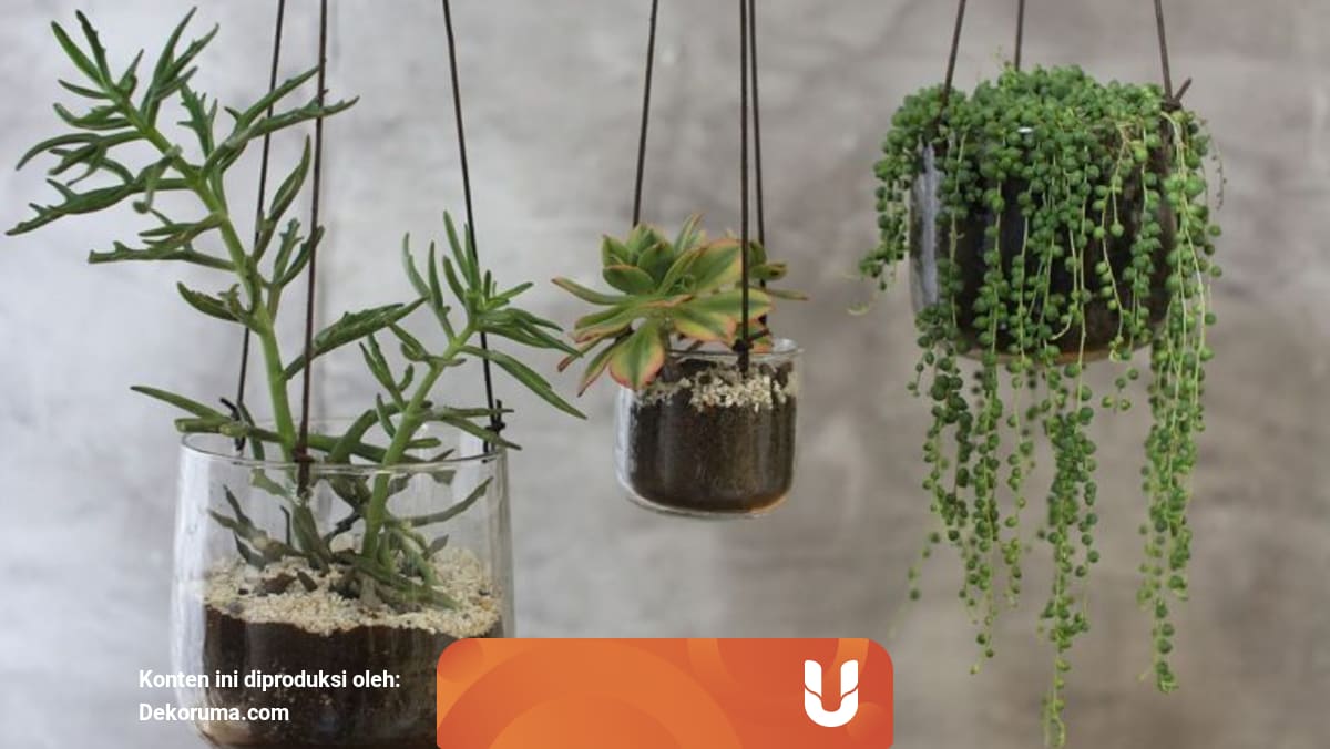 Lahan Terbatas Inilah 7 Cara Menata Taman Depan Rumah Kumparan Com