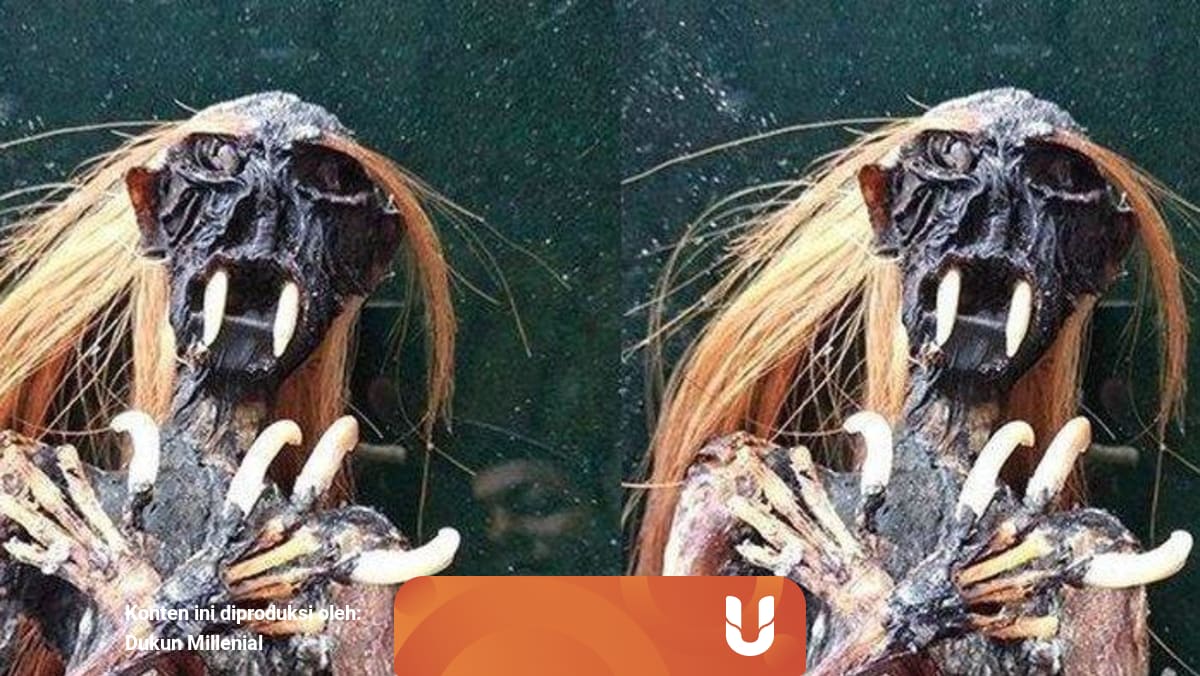 Menguak Asal Muasal Jenglot Kumparan Com