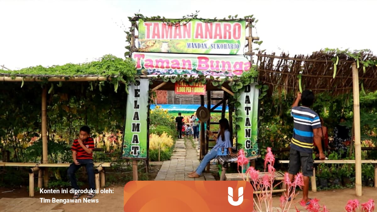 Taman Bunga Anaro Tempat Wisata Baru Berupa Taman Bunga Di Sukoharjo Kumparan Com
