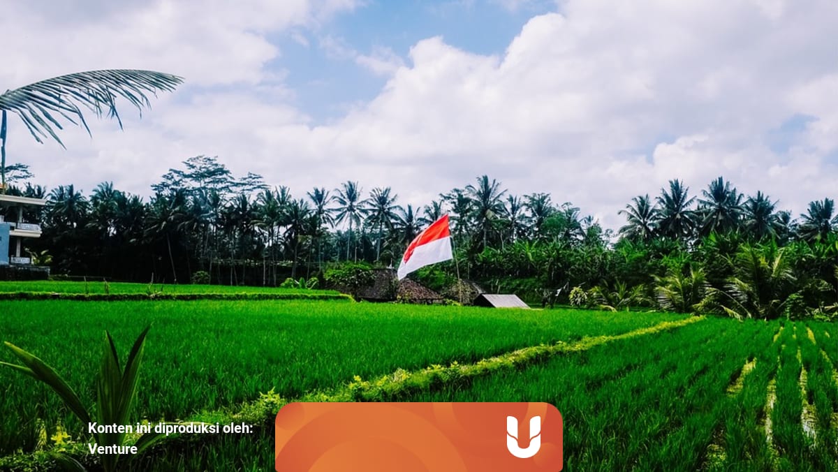 Sudah Sejauh Mana Perkembangan Pertanian Indonesia Kumparan Com