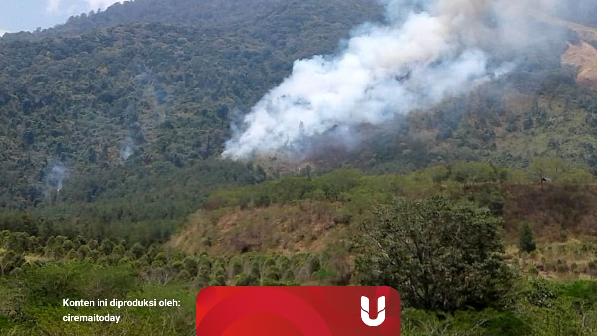 Hutan Desa Setianegara - Setelah Lawu Dan Sindoro Sumbing ...