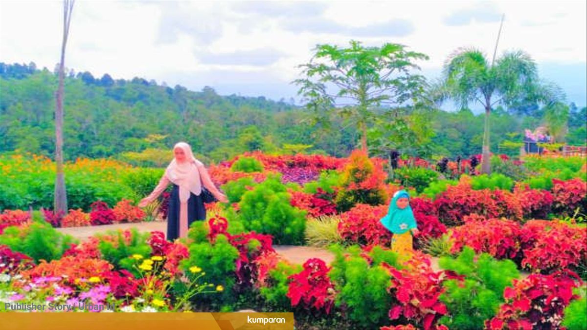 Pesona Dempo Park Taman Tertinggi Di Sumatera Selatan Kumparan Com