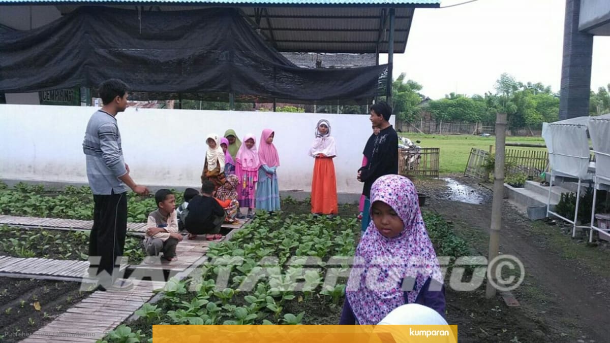 Gunakan Teknik Suhu Tanah Sayuran Pegunungan Bisa Ditanam Di