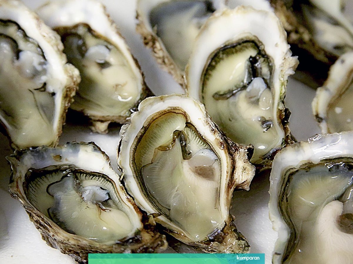 Ini Alasan Kamu Tak Disarankan Makan Tiram Mentah Kumparan Com