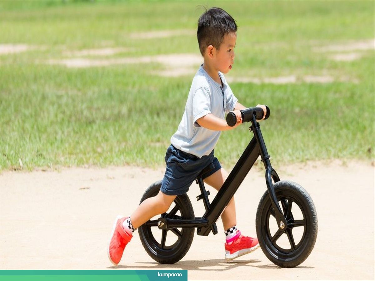 Harga Sepeda  Anak  Kecil  Roda 3 Trend Sepeda 