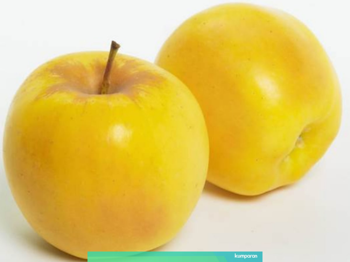 Cantiknya Opal Varietas Buah Apel Yang Berwarna Kuning Keemasan