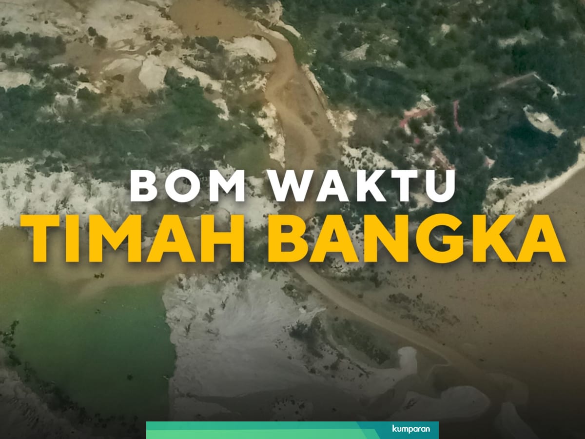 Ekonomi Bangka Apa Yang Dikais Setelah Timah Habis Kumparan Com