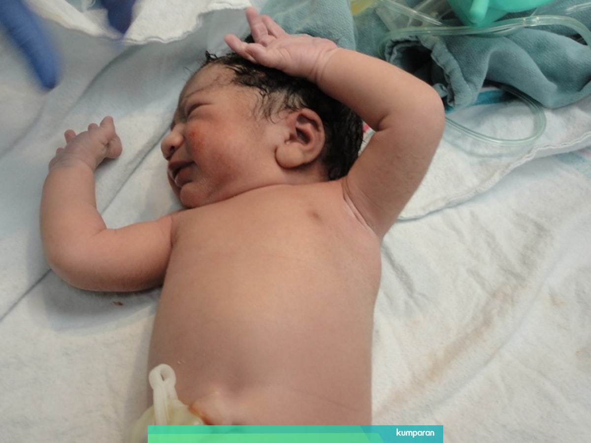 Kenapa Alat Kelamin Pada Bayi Baru Lahir Biasanya Bengkak Kumparan Com