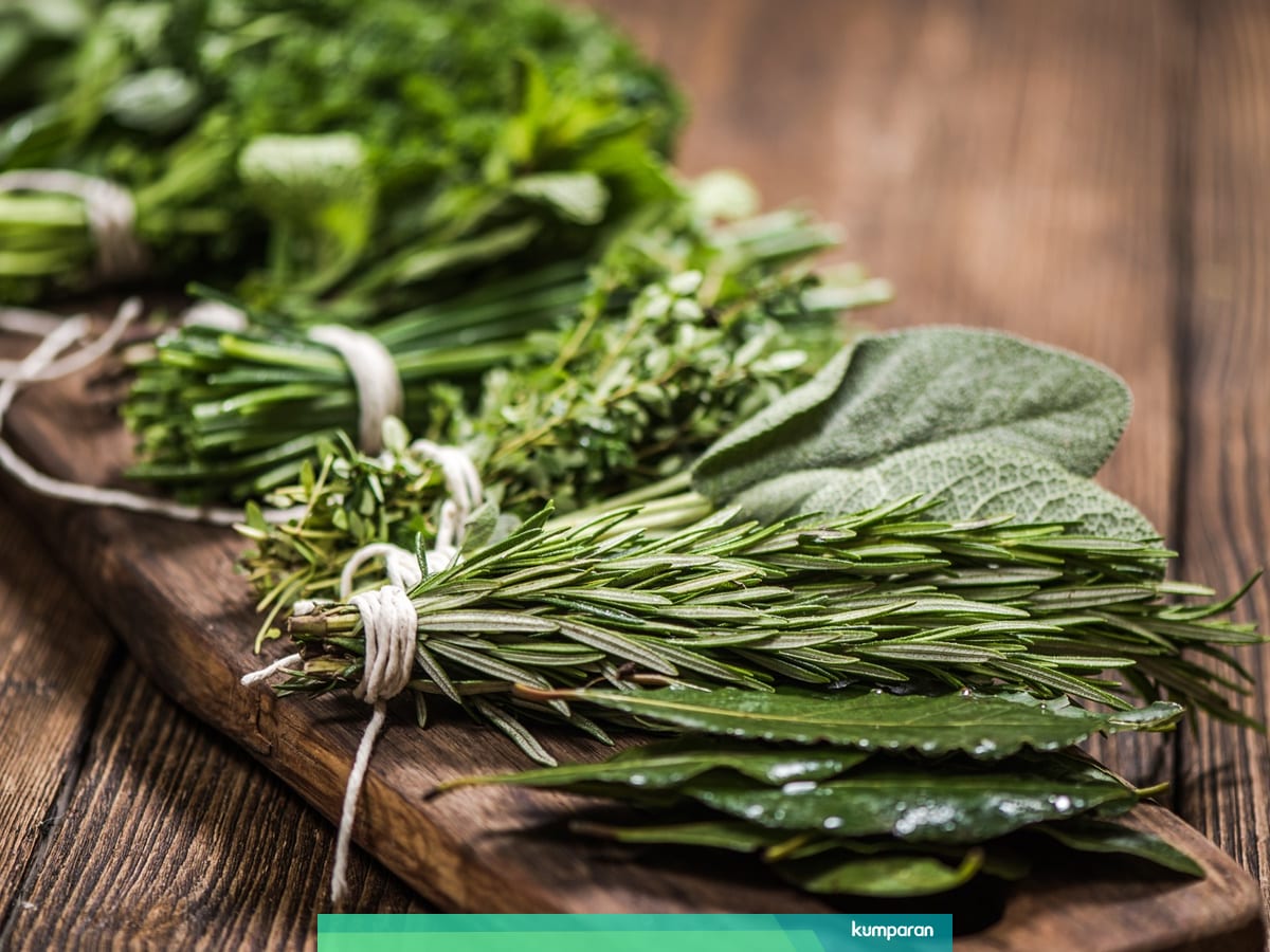 10 Jenis Dedaunan Aromatik Yang Sering Digunakan Untuk Masakan