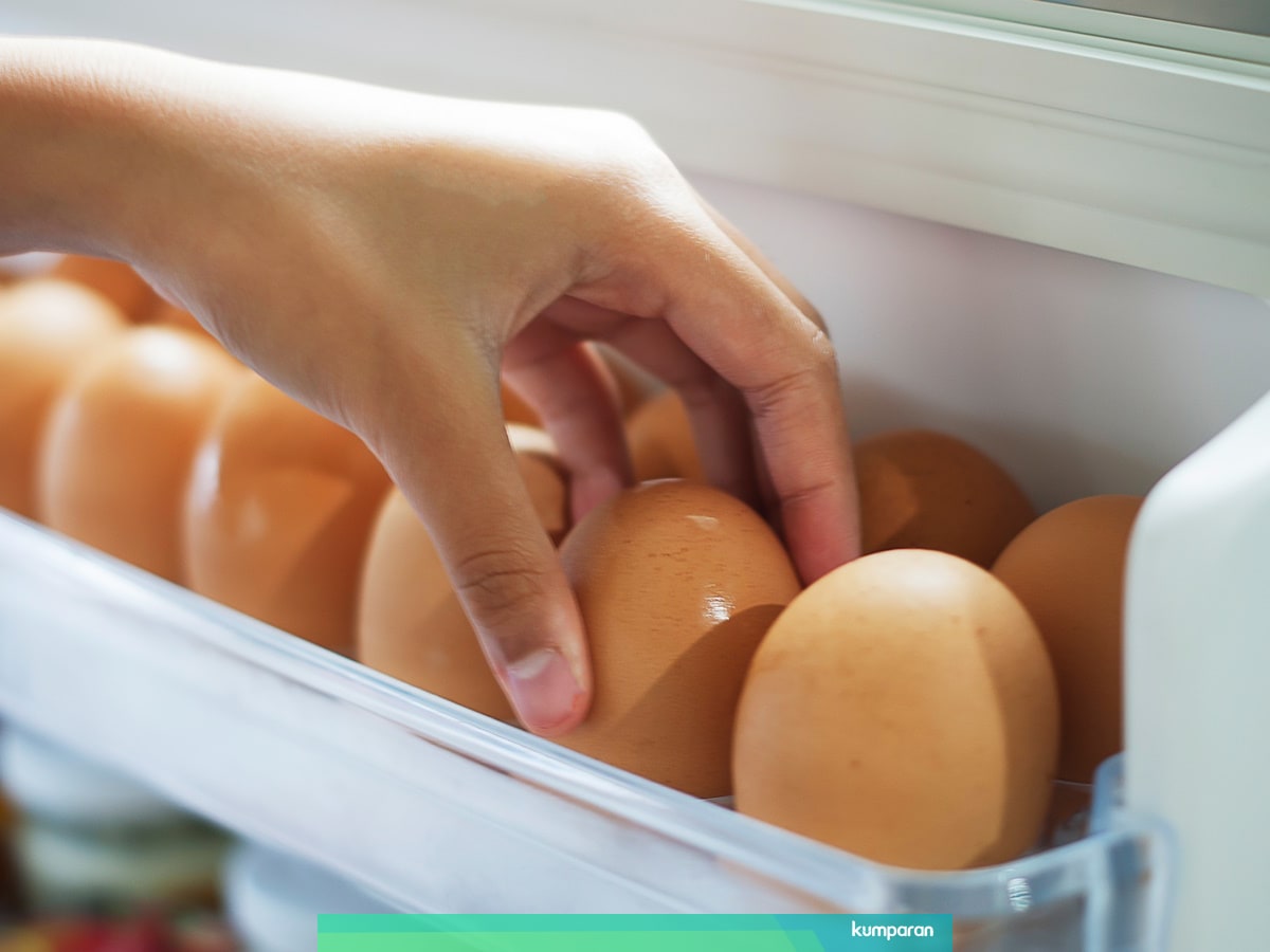 5 Tips Menyimpan Stok Telur Supaya Lebih Tahan Lama Kumparan Com