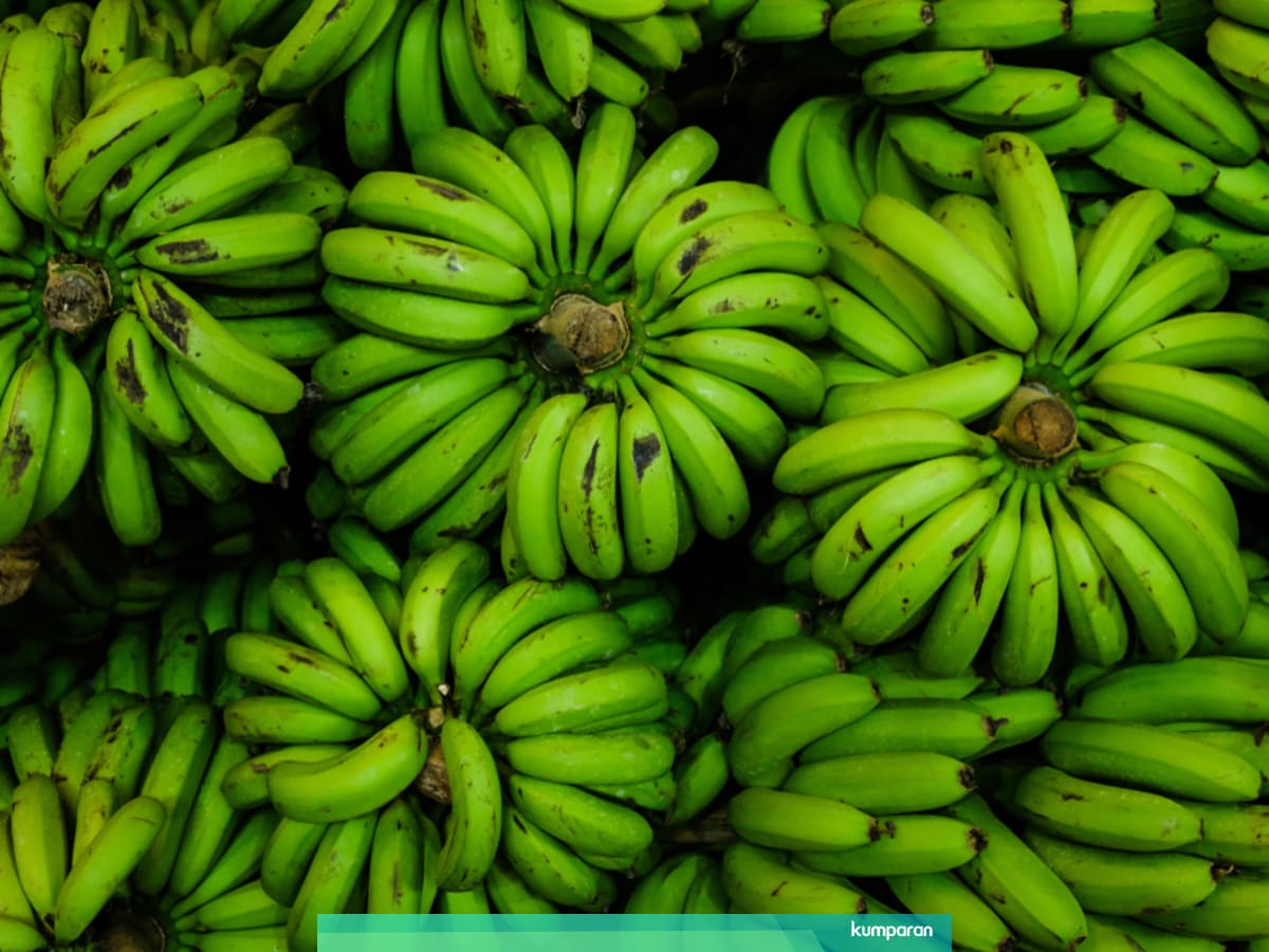 5 Manfaat Pisang Hijau Redakan Diare Hingga Atasi Diabetes Kumparan Com