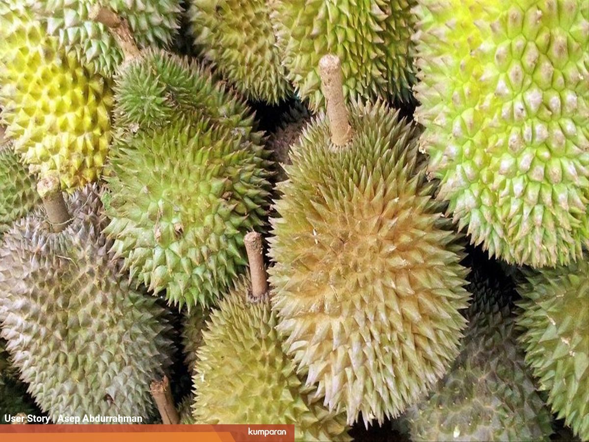 Membaca Filosofi Buah Durian Kumparan Com