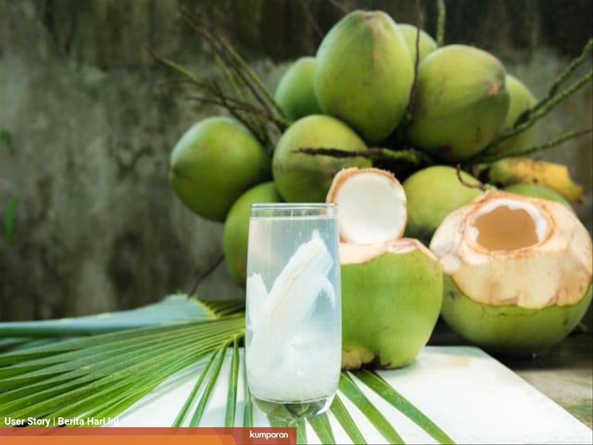 Manfaat Air Kelapa Muda Untuk Ginjal Manfaat Air Kelapa Muda Untuk Ginjal