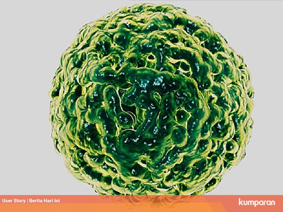 Apa Itu Norovirus Virus Penyebab Diare Yang Kini Menyerang China Kumparan Com