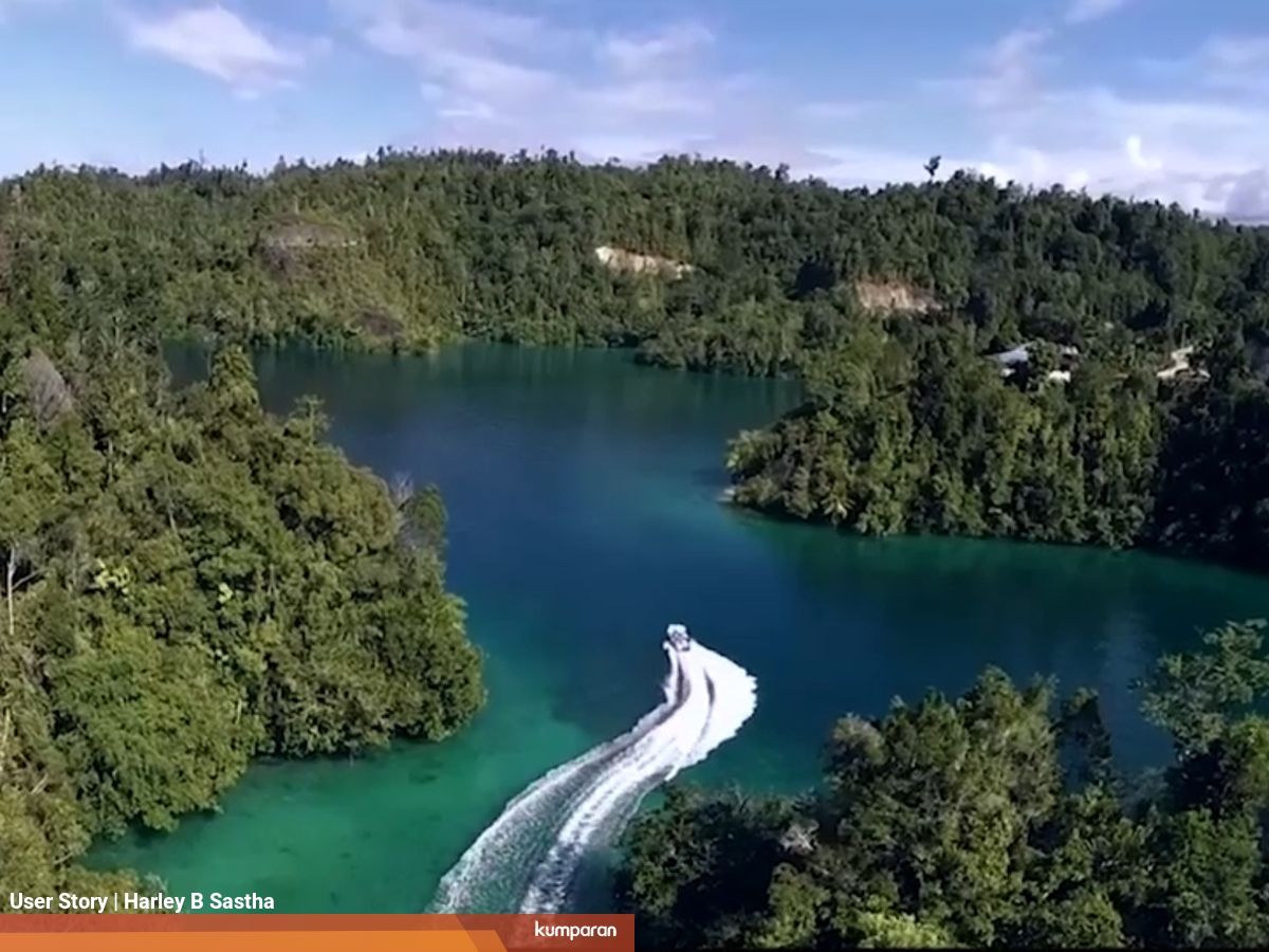 Kenali 6 Taman Nasional Terluas Dan Terbesar Di Indonesia Kumparan Com