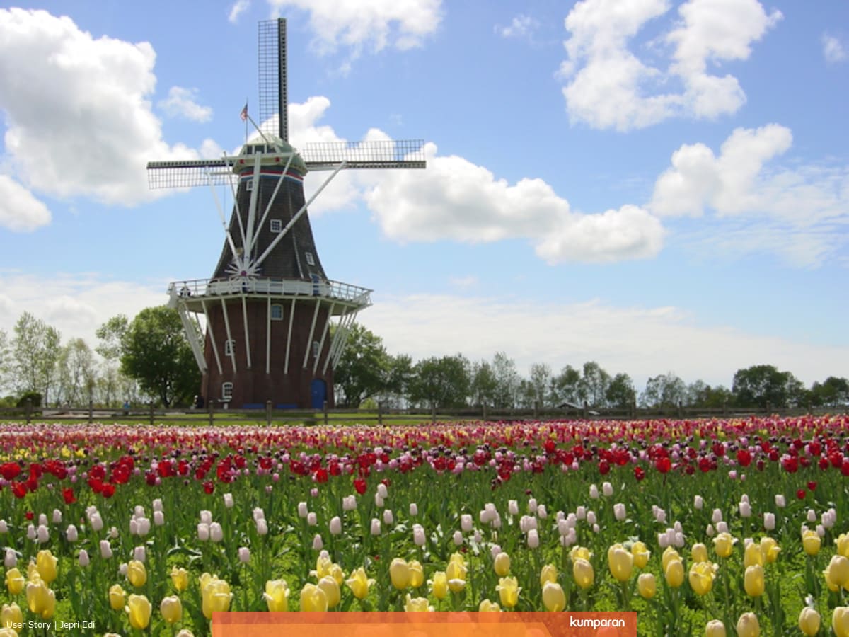 Tulip Time Festival Menikmati Musim Semi Belanda Di Negeri Paman