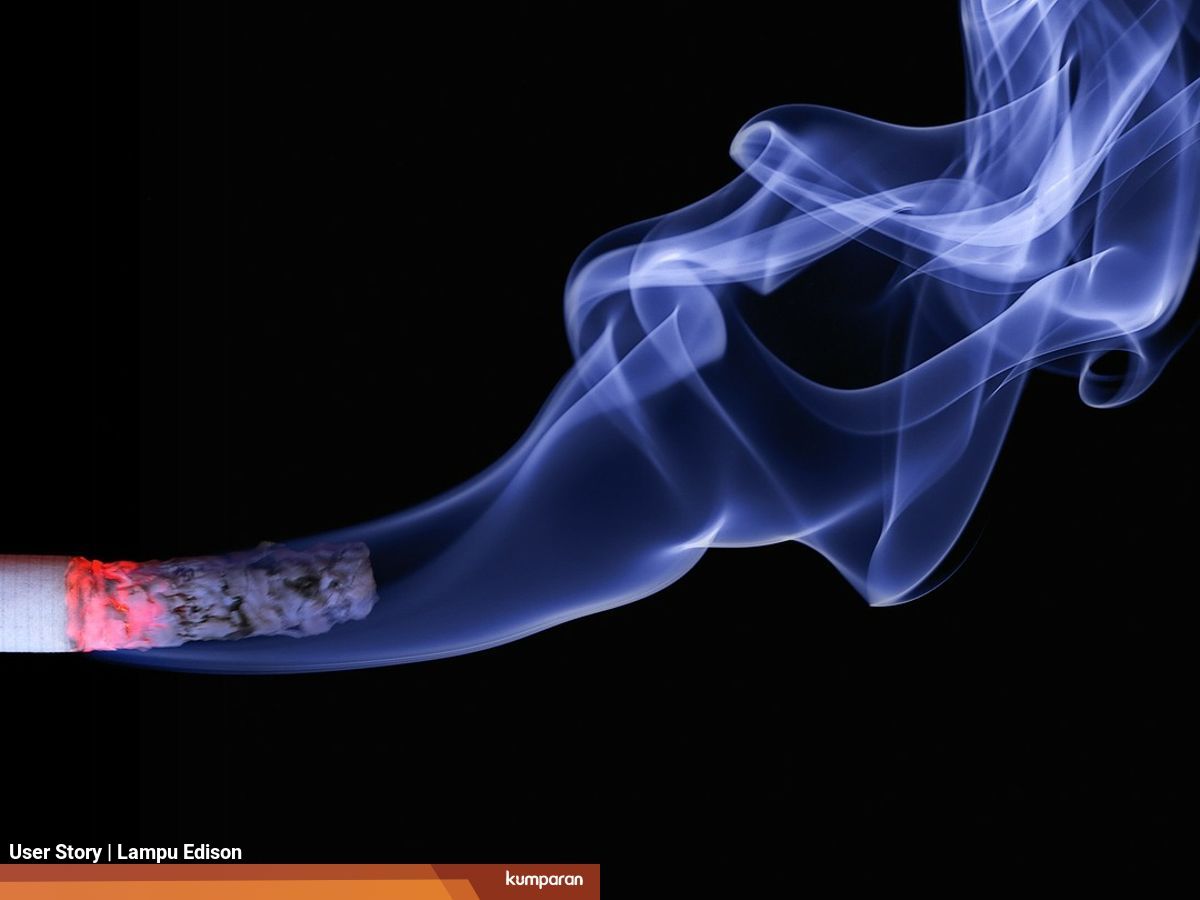 Bagaimana Cara Rokok Mempengaruhi Tubuh Kita Kumparan Com