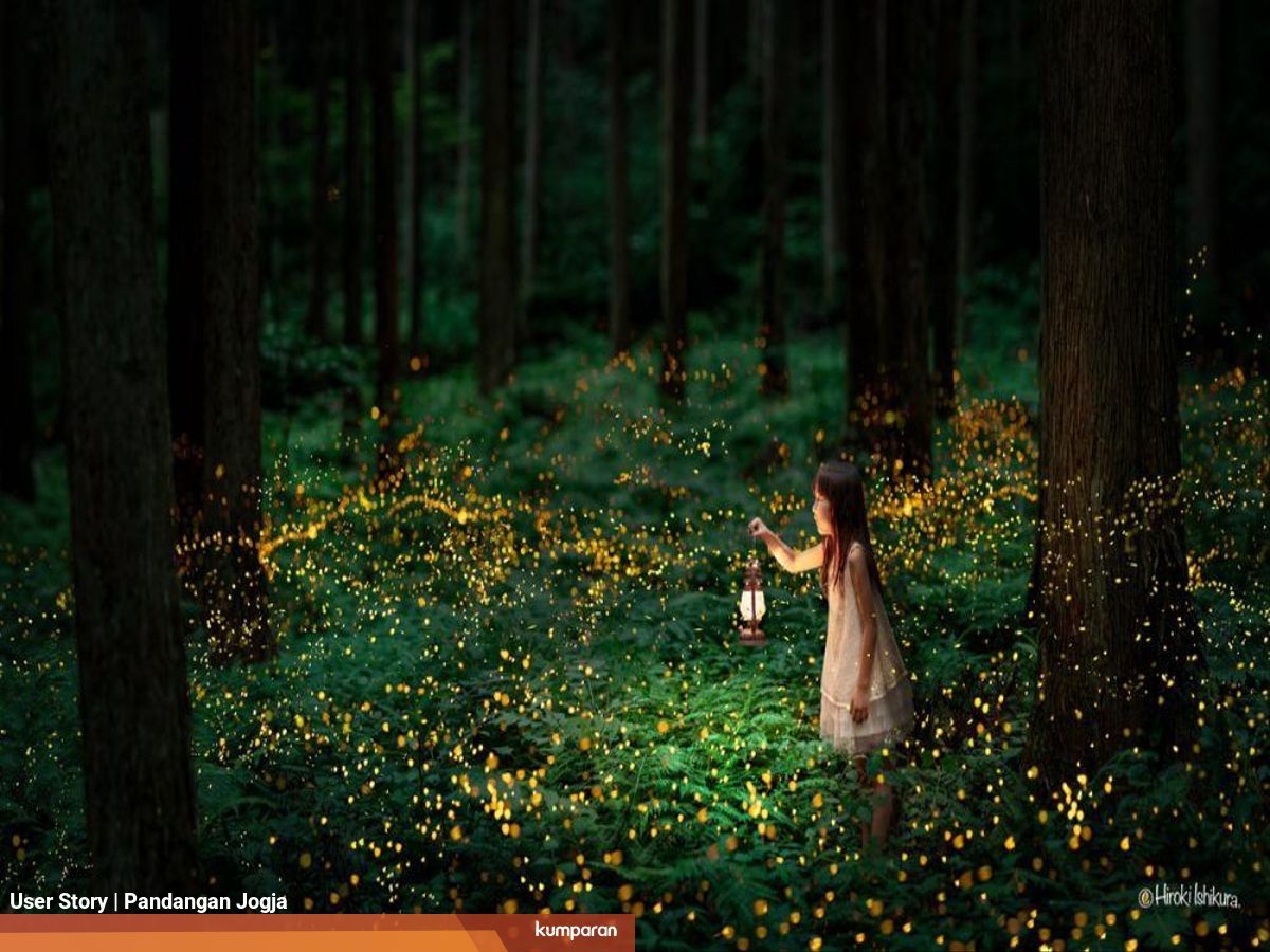 Punahnya Kunang Kunang Petaka Bagi Manusia Kumparan Com Lincoln menangkap mereka dan menyimpannya dalam toples, tetapi lana melepaskannya, menyebabkannya mendapat nilai f dalam biologi. punahnya kunang kunang petaka bagi