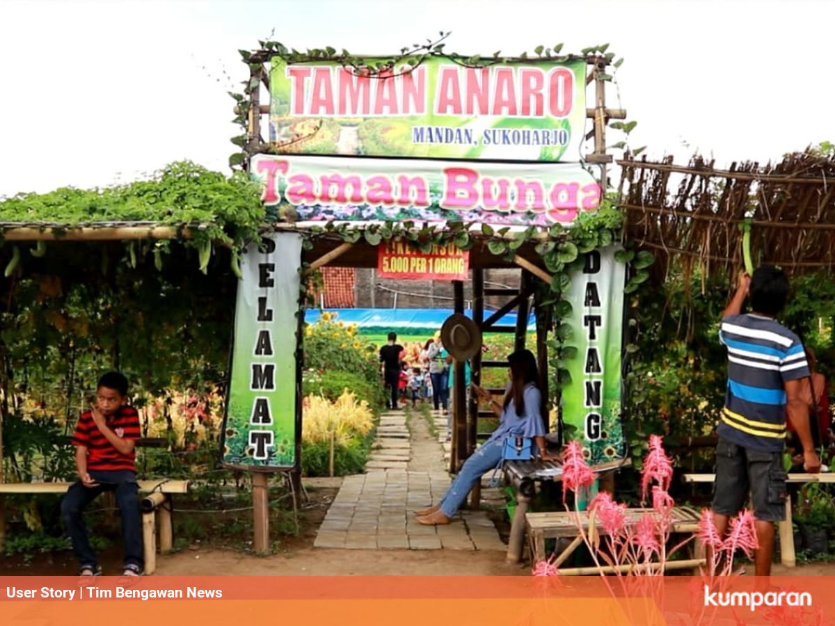 Taman Bunga Anaro Tempat Wisata Baru Berupa Taman Bunga Di Sukoharjo Kumparan Com
